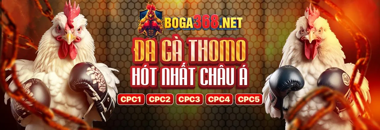 Đá gà trực tuyến hấp dẫn tại Q99 Link Mới