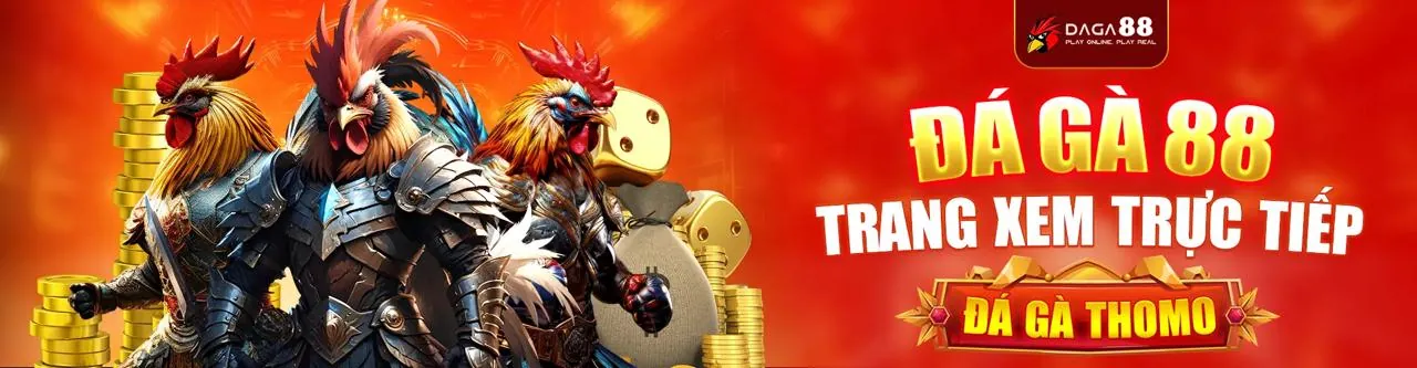 Cá cược thể thao Q99